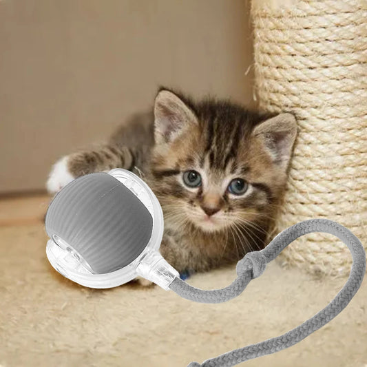 Pet Interactive Auto Rolling Ball with Tail Toy