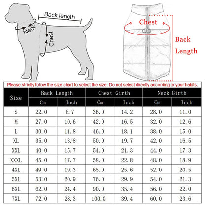 Winter Dog Coat