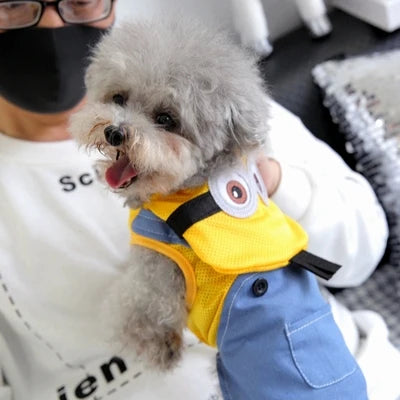 Cooling Dog Clothes