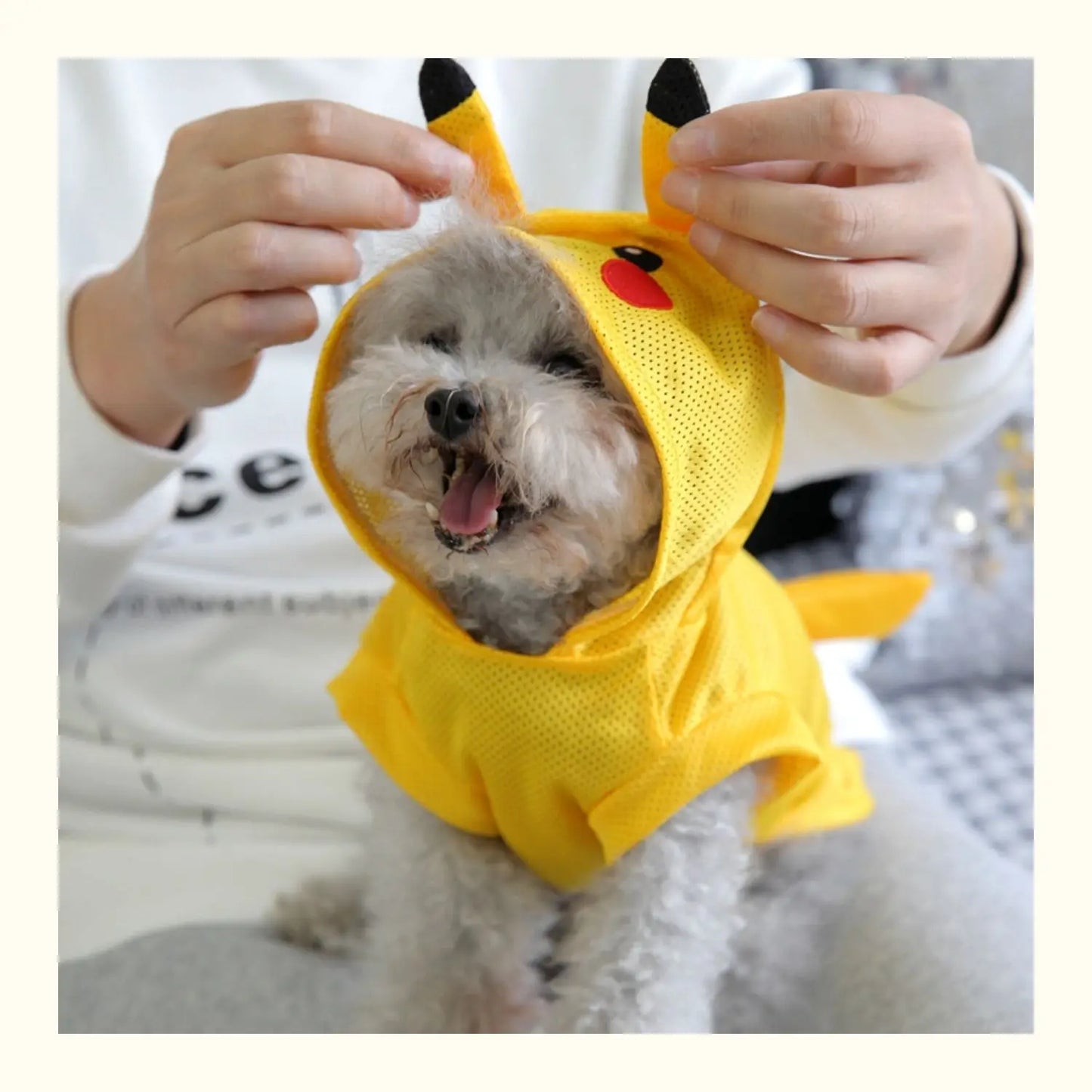 Cooling Dog Clothes