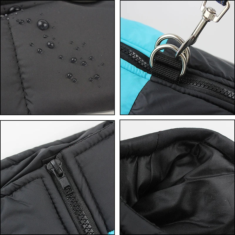 Winter Dog Coat