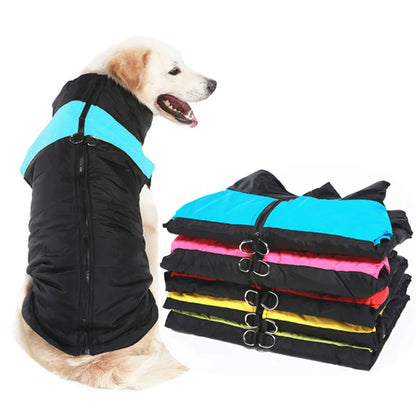 Winter Dog Coat