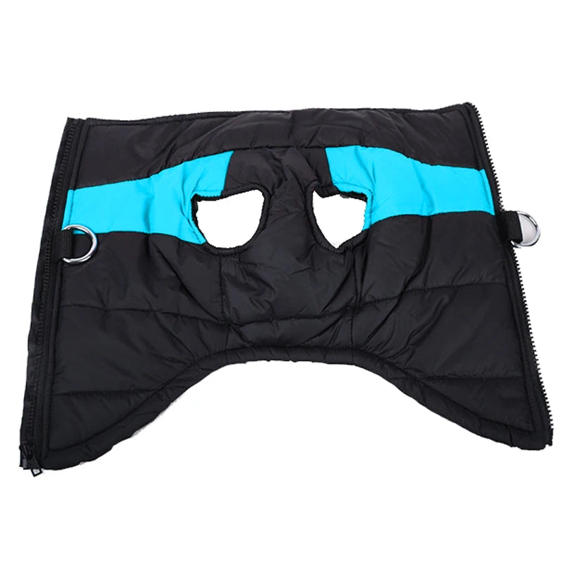 Winter Dog Coat