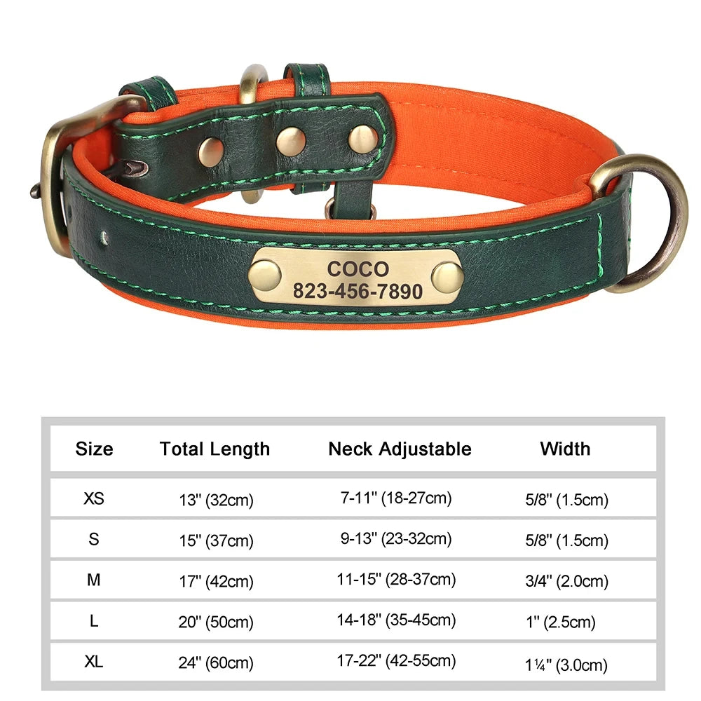 Customized Leather ID Dog Collar