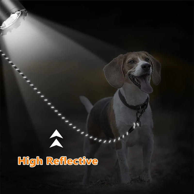 3M Reflective Dog Leash