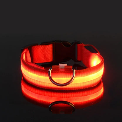 Nylon LED Night Safety Flashing Glow Dog Collar