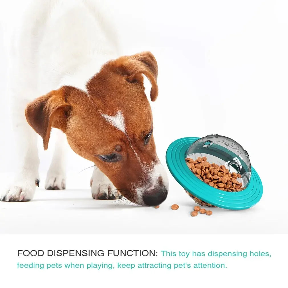Flying Saucer Slow Feeder & Puzzle Toy