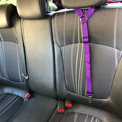 Two-in-One Pet Car Seat Belt &amp; Leash