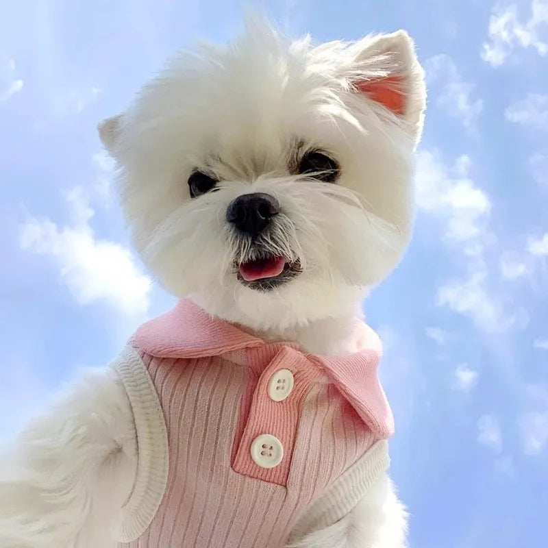 Pet Polo Shirt