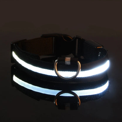 Nylon LED Night Safety Flashing Glow Dog Collar