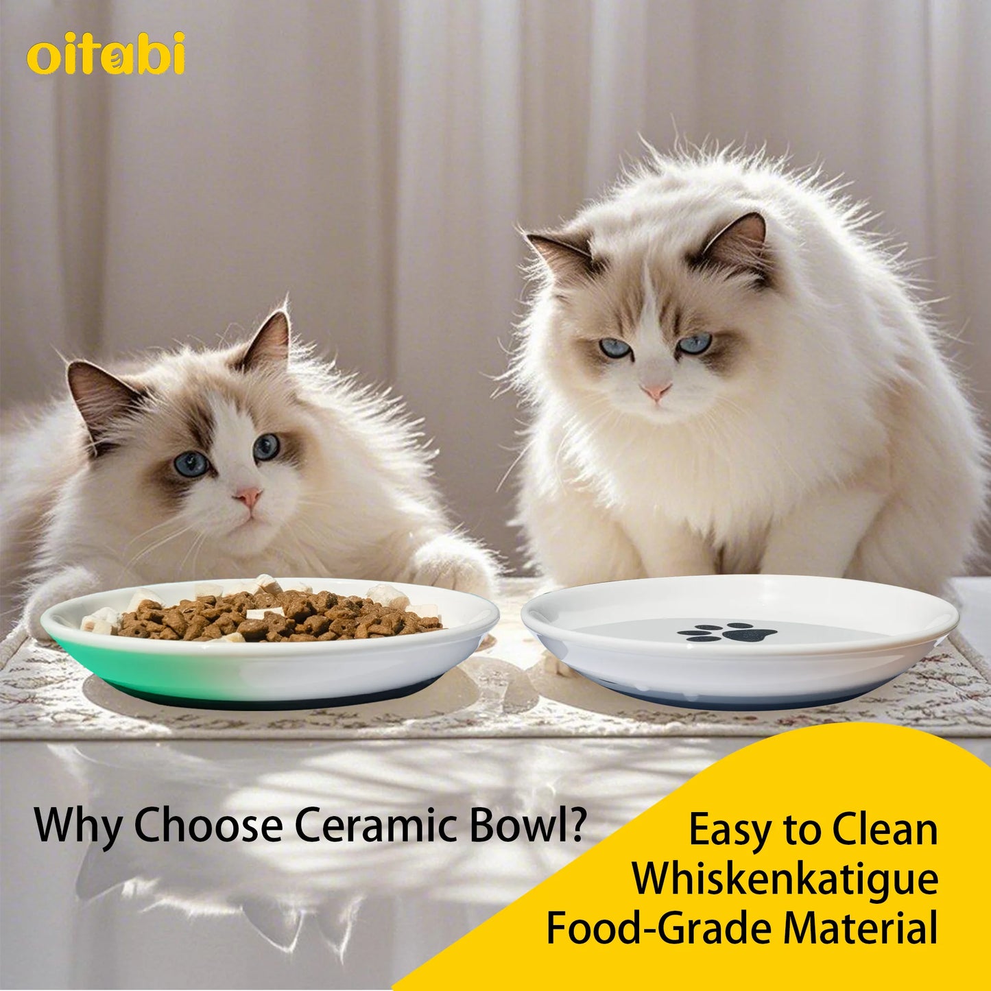 Oitabi No Spill Cat Bowl Set