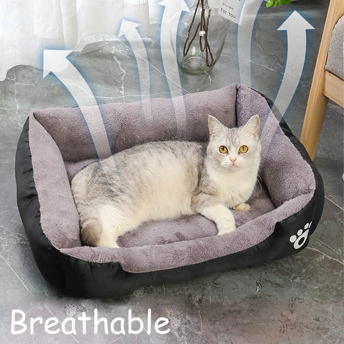 Color Square Winter Pet Bed