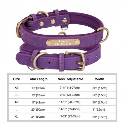 Customized Leather ID Dog Collar