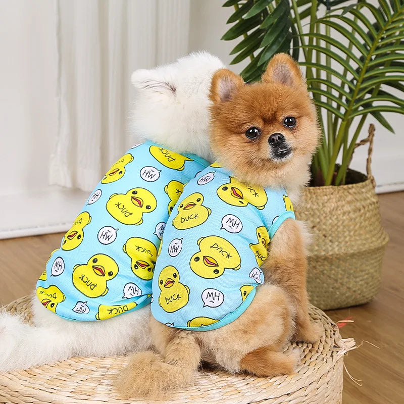 Pet Clothes for Small Dogs & Cats