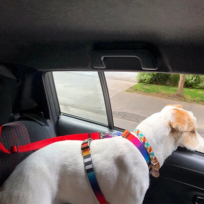 Two-in-One Pet Car Seat Belt &amp; Leash