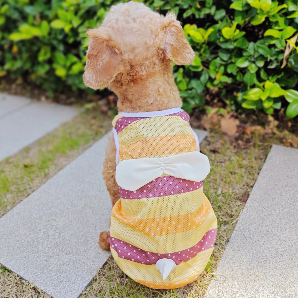 Cooling Dog Clothes