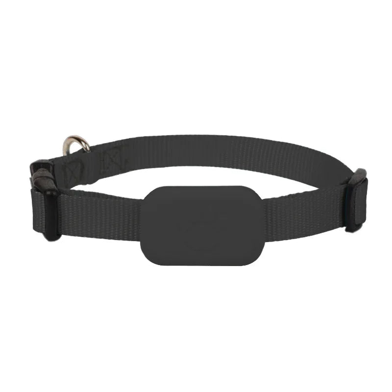 Mini GPS Tracker Collar