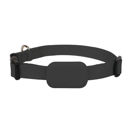 Mini GPS Tracker Collar