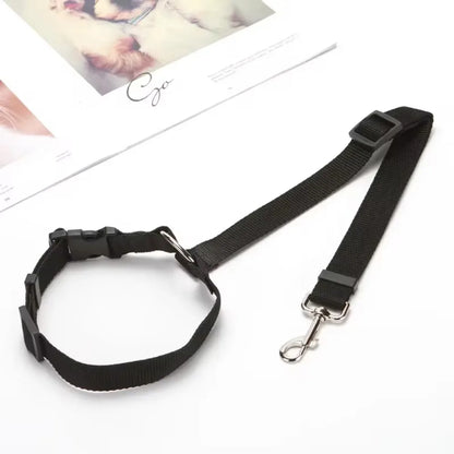 Two-in-One Pet Car Seat Belt &amp; Leash