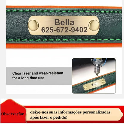 Customized Leather ID Dog Collar