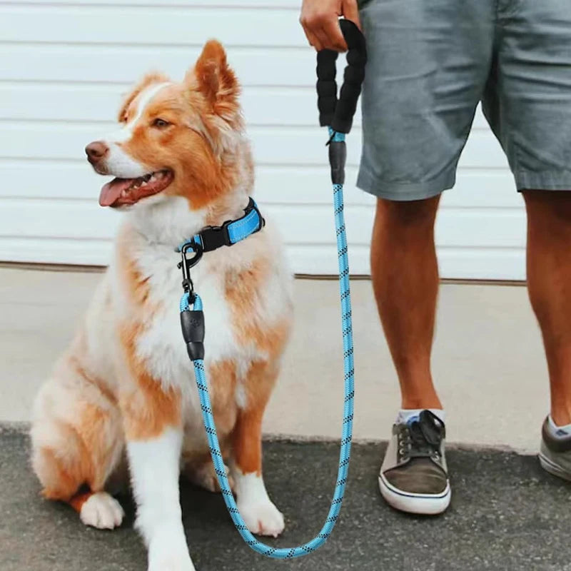 3M Reflective Dog Leash