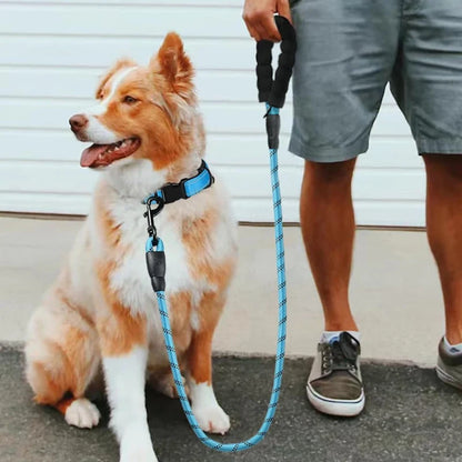 3M Reflective Dog Leash
