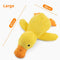 Big Duck