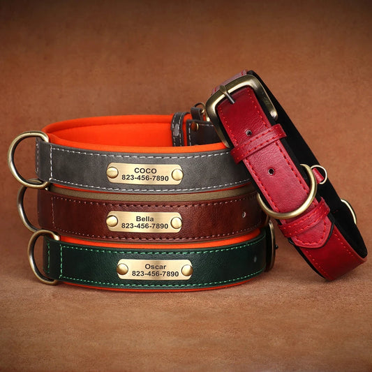 Customized Leather ID Dog Collar