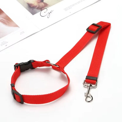 Two-in-One Pet Car Seat Belt &amp; Leash