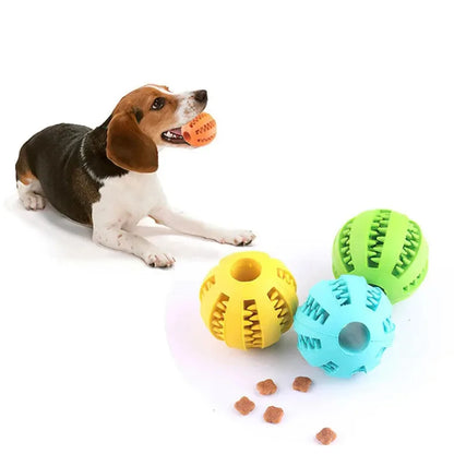 Interactive Rubber Food Ball