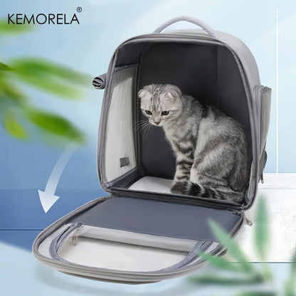 Capsule Backpack for Cats & Dogs