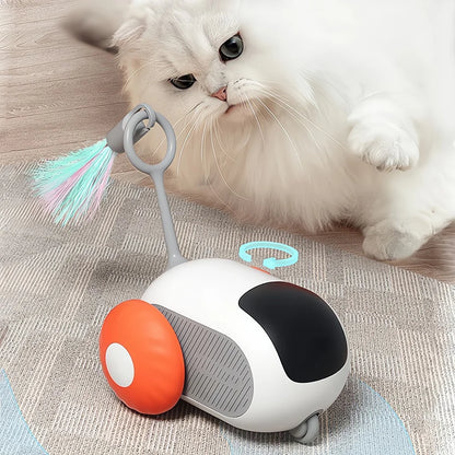 Chase, Pounce &amp; Play