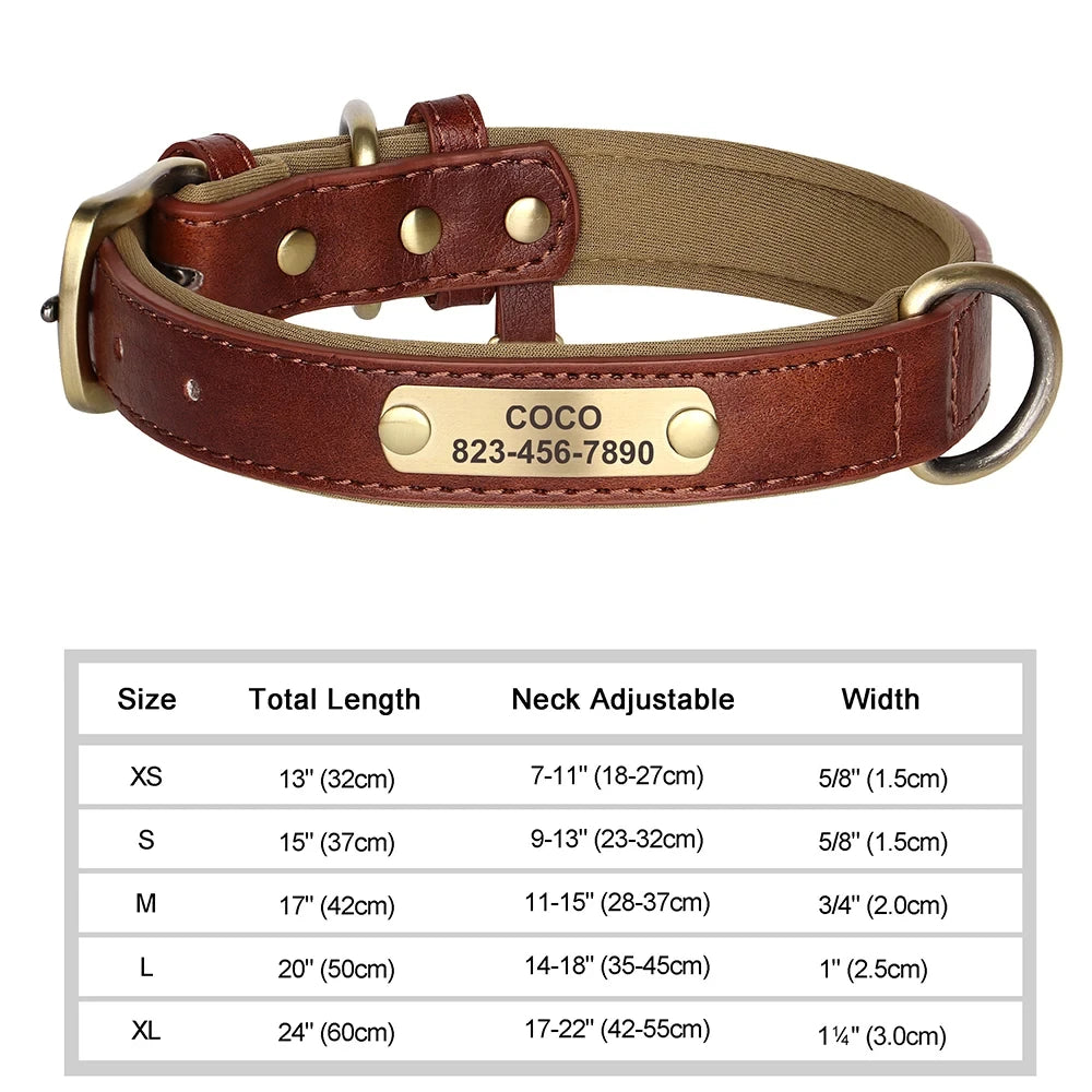 Customized Leather ID Dog Collar