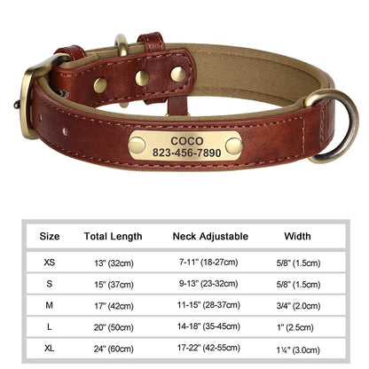 Customized Leather ID Dog Collar