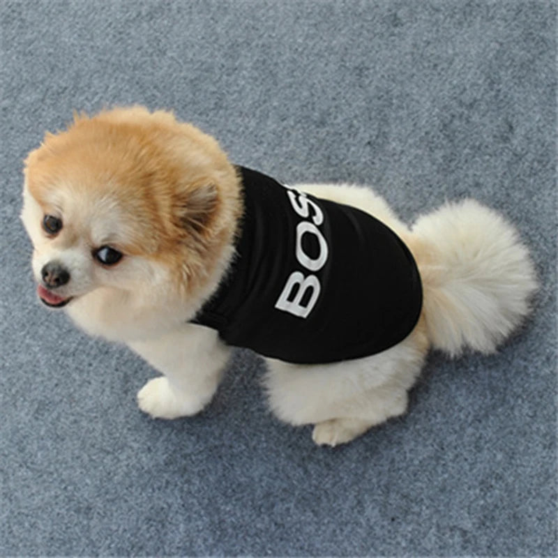 Security Clothing Vest