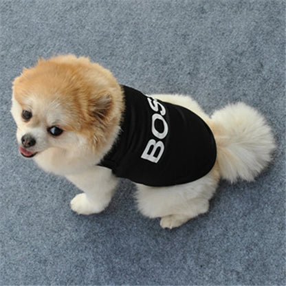 Security Clothing Vest