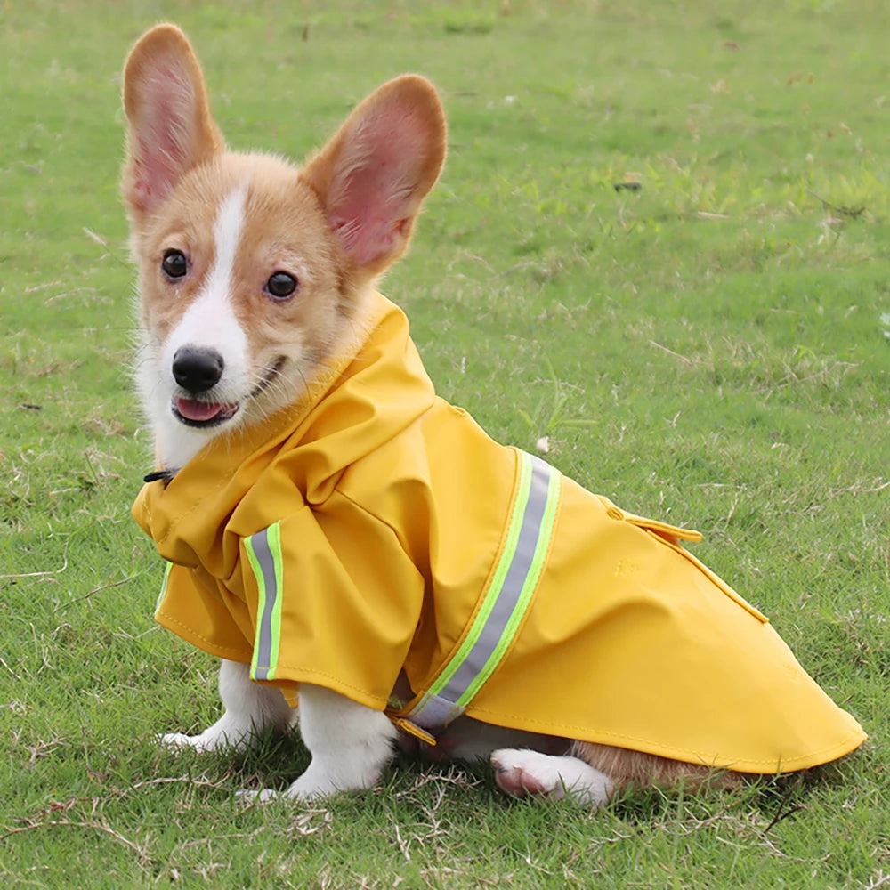 Cloak-Style Dog Raincoa