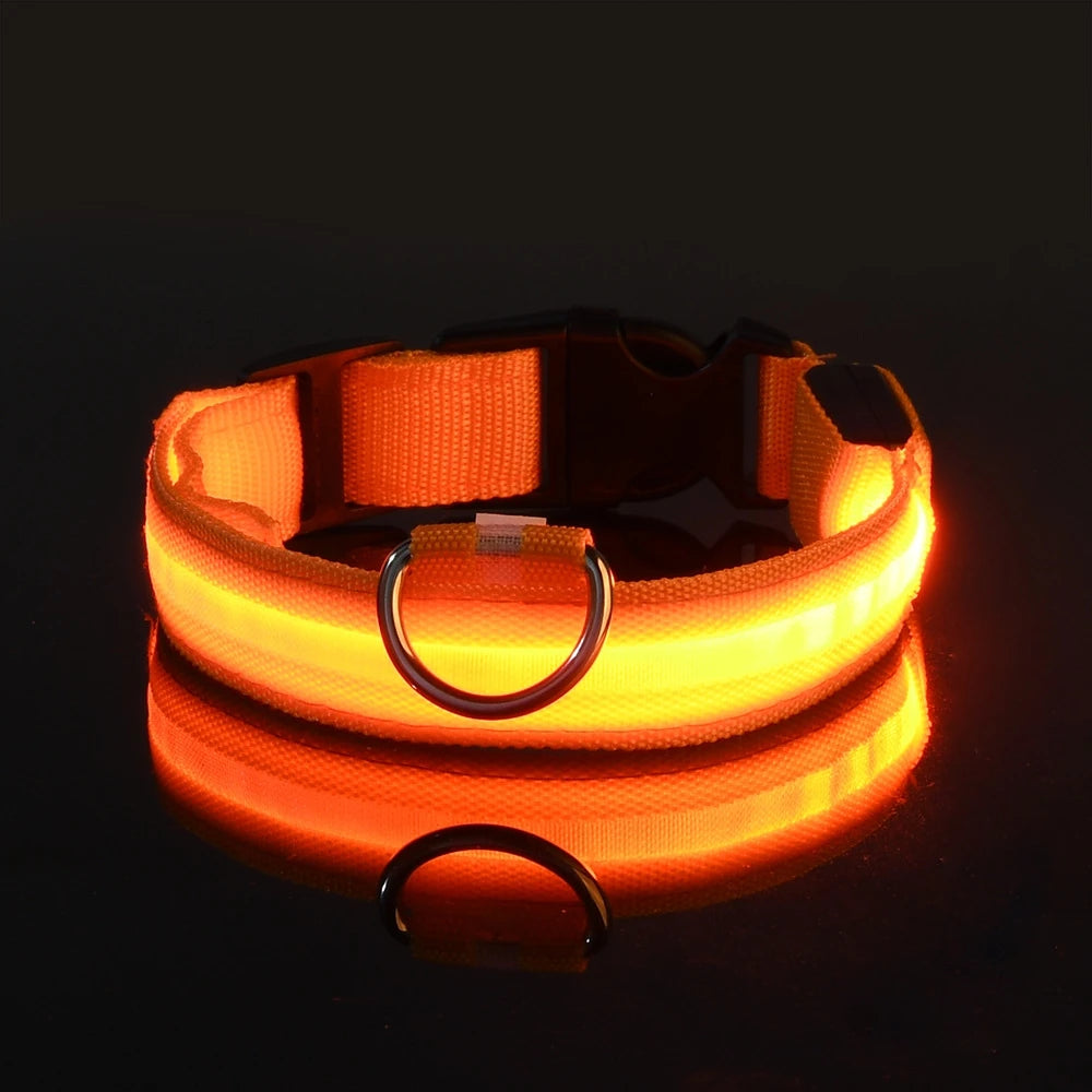 Nylon LED Night Safety Flashing Glow Dog Collar