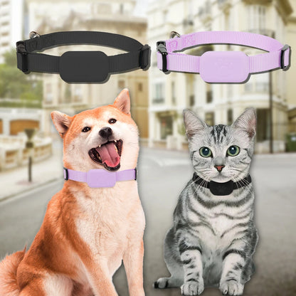 Mini GPS Tracker Collar