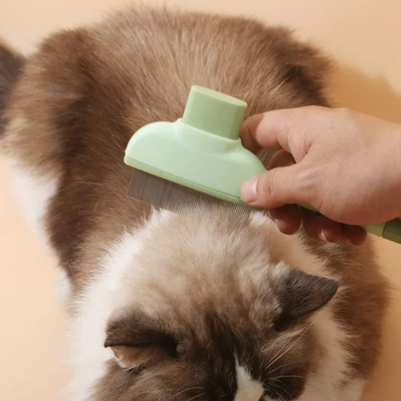 Pet Hair Removal Brush
