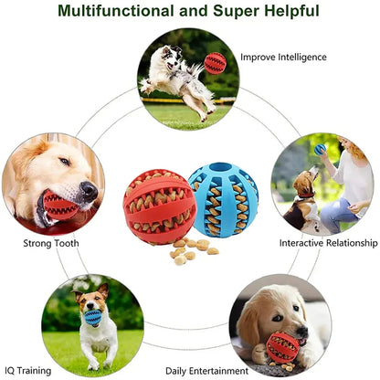 Interactive Rubber Food Ball