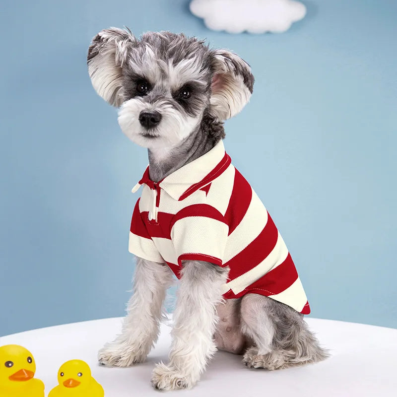 Pet Dog Polo Shirt