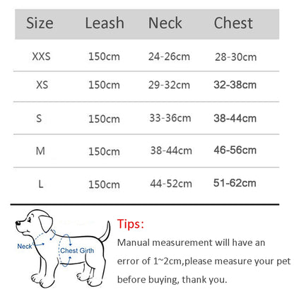 Adjustable Dog Harness and Leash Set