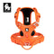 ORANGE 1