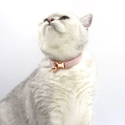 Customized Velvet Cat & Puppy Collar