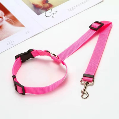 Two-in-One Pet Car Seat Belt &amp; Leash