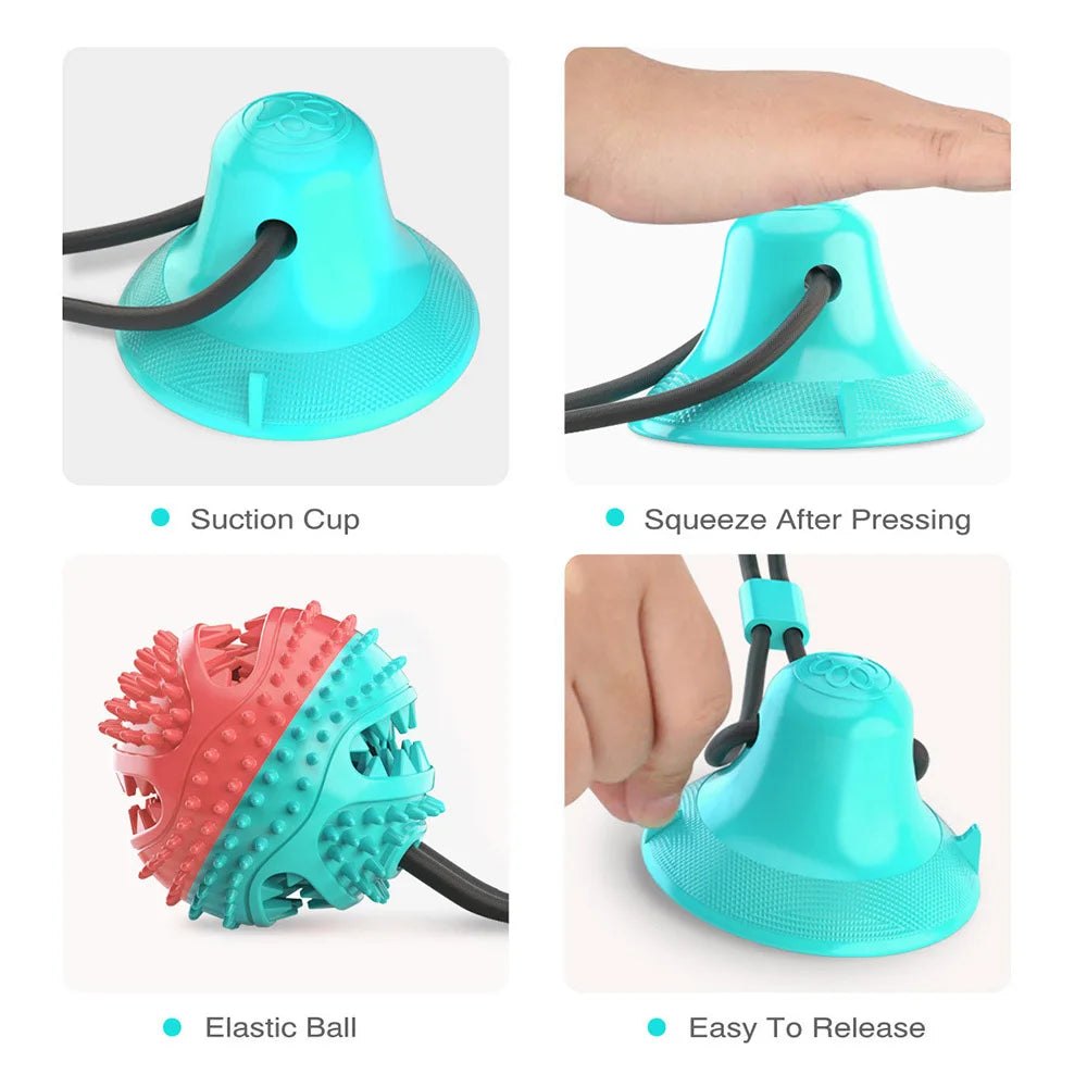 Interactive Suction Cup Tug Toy