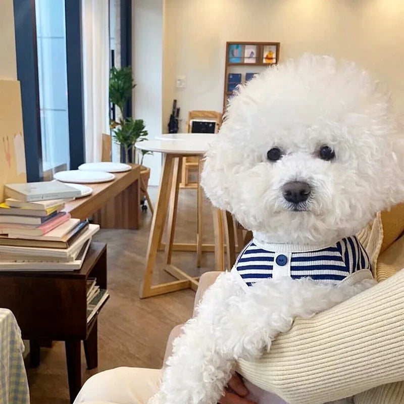 Striped Pet Sweatshirt