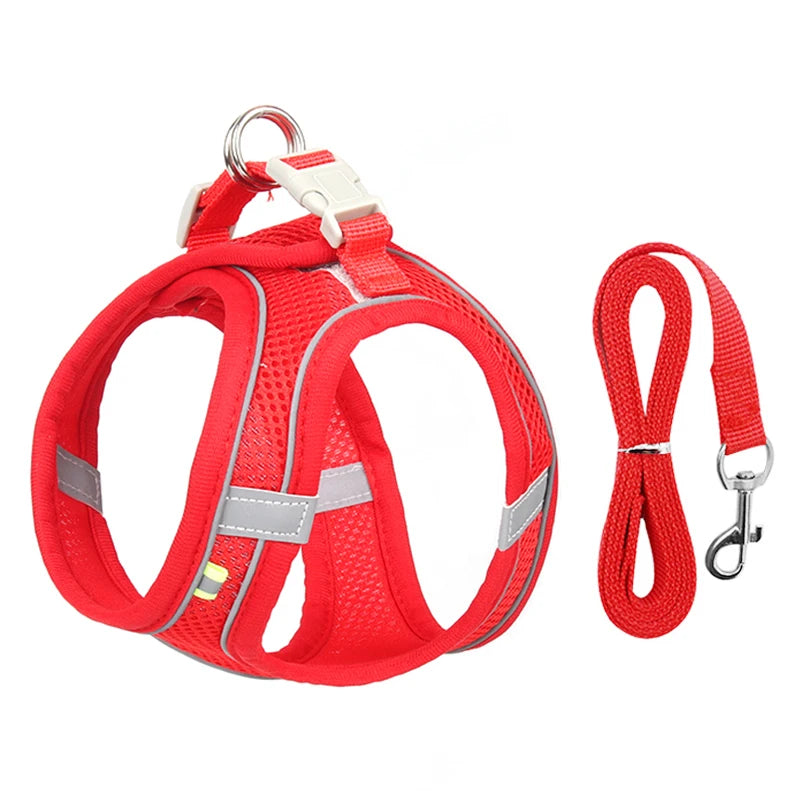 Adjustable Dog Harness and Leash Set