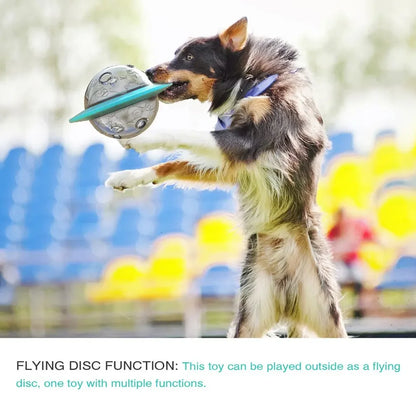 Flying Saucer Slow Feeder & Puzzle Toy